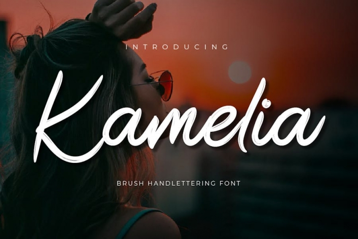 Kamelia - Brush Handwritten Font Font Download