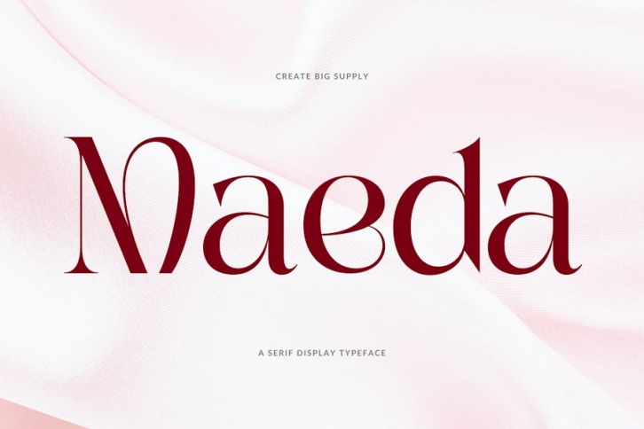 Maeda Unique Serif Display Font Font Download