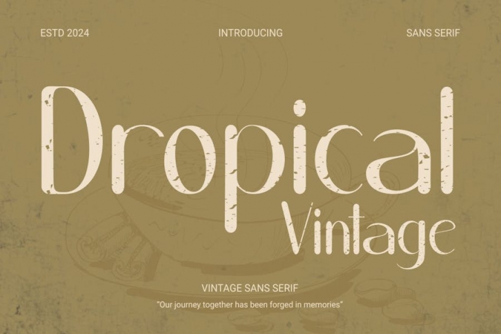 Dropical  - Vintage sans serif Font Download