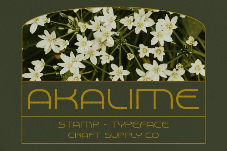 Akalime Stamp Font Download