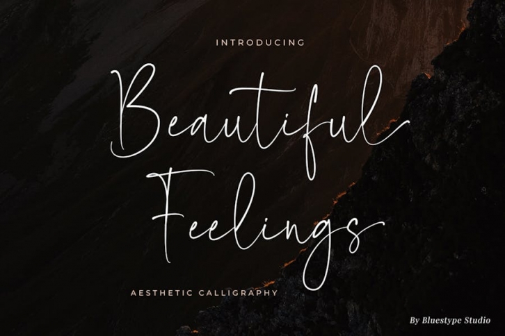 Beautiful Feelings - Aesthetic Font Font Download