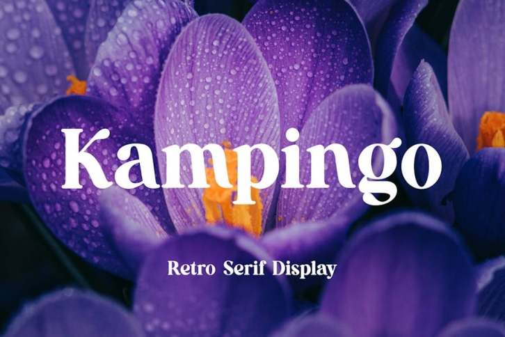 Kampingo Retro Serif Display Font Font Download