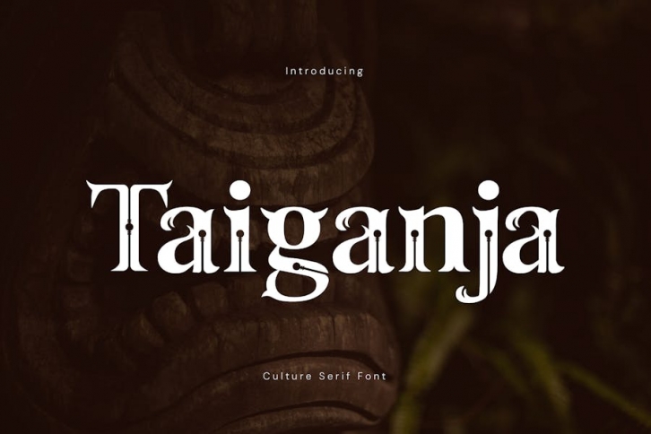 Taiganja - Culture Serif Font Font Download