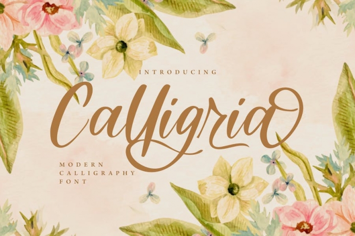 Calligria - Modern Calligraphy Font Download