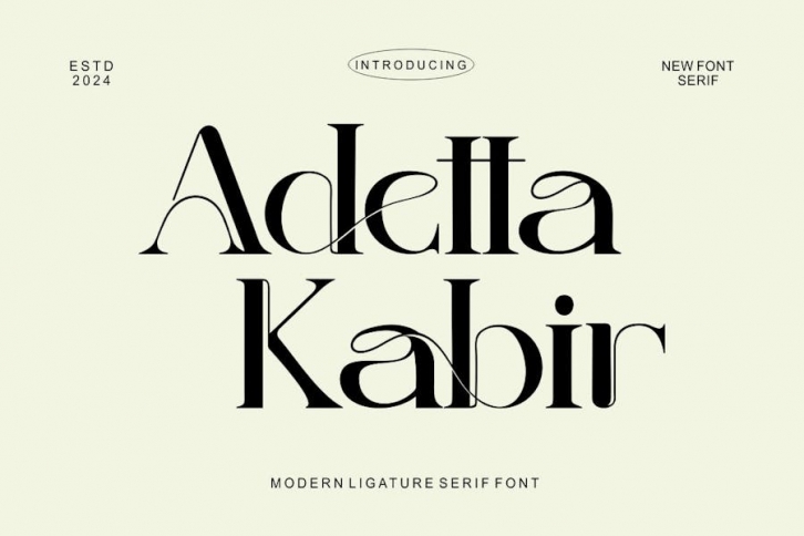 AdettaKabir - Ligature Serif Font Font Download