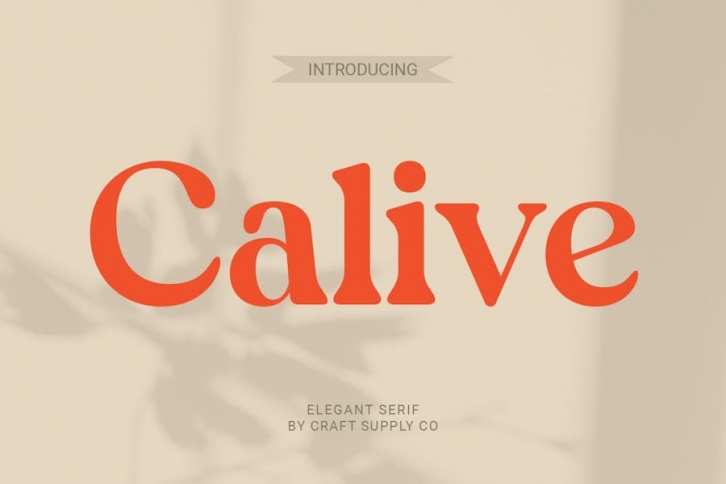 Calive – Nostalgic Font Font Download