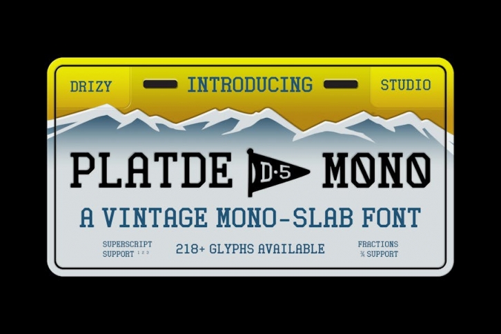 Platde - Vintage Mono Slab Font Font Download