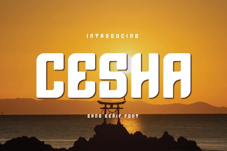 Cesha - Sans Serif Font Font Download