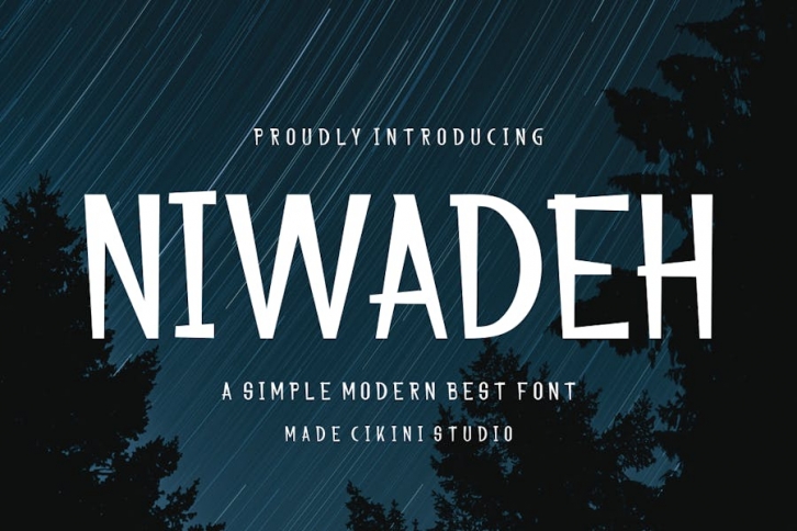 NIWADEH - Modern Best Font Font Download
