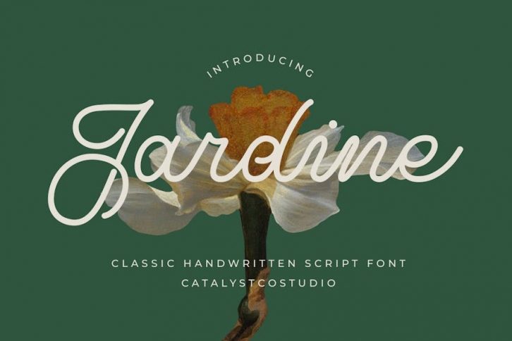 Jardine Classic Handwritten Script Font Font Download