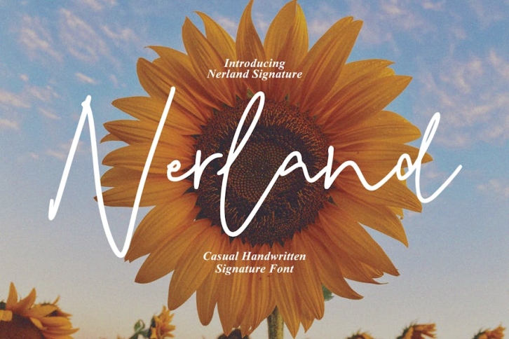 Nerland - Casual Handwritten Font Download