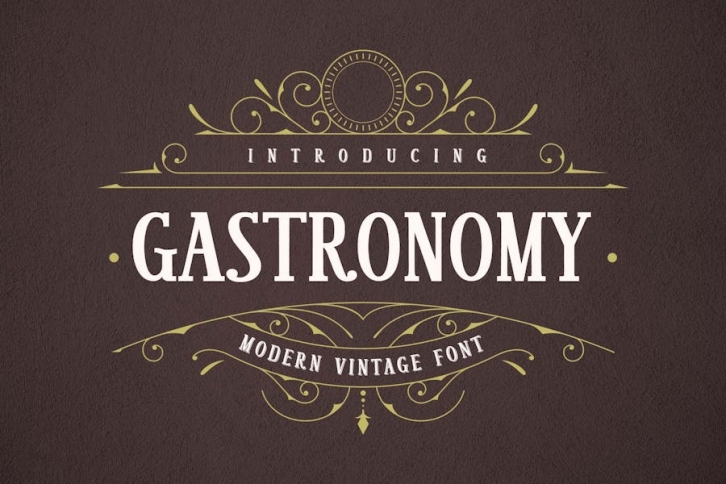 Gastronomy  Modern Vintage Serif Font Font Download