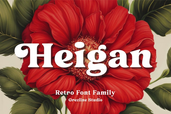 Heigan - Retro Font Family Font Download