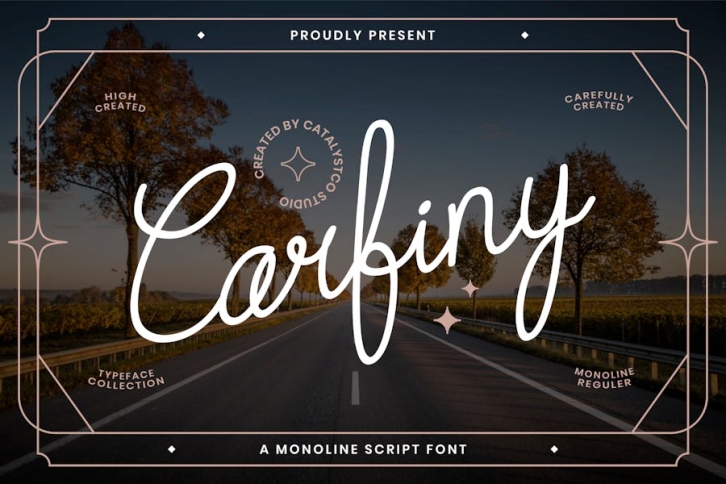 Carfiny Script Font Font Download
