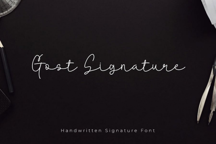 Gost Signature - Handwritten Signature Font Font Download