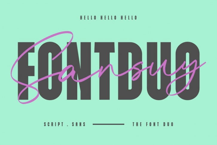 Sansuy Font Duo Script Sans Typeface Font Download