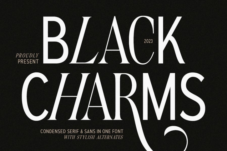 Black Charms - 2 in 1 Condensed Font Font Download