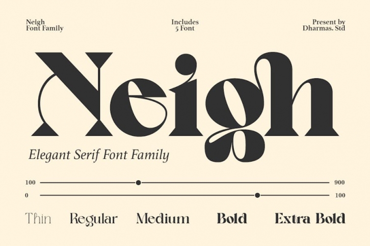Neigh - Modern Luxury Logo Font Font Download