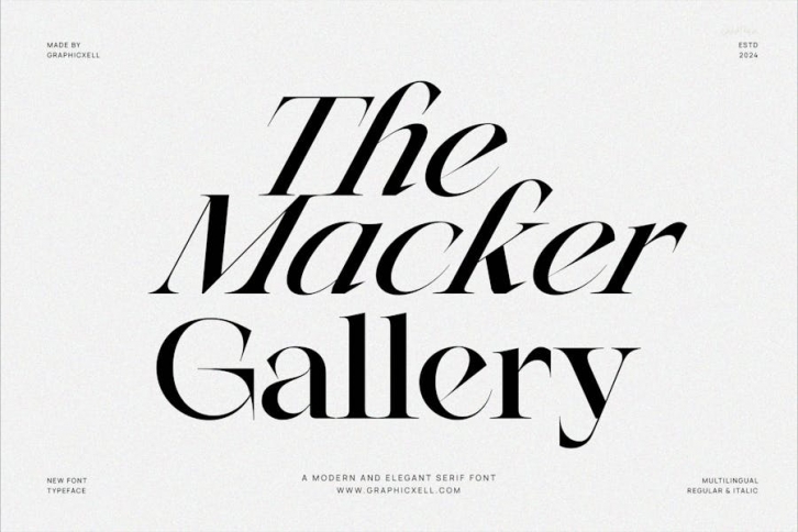 The Macker Gallery Family Serif Font Text Font Download
