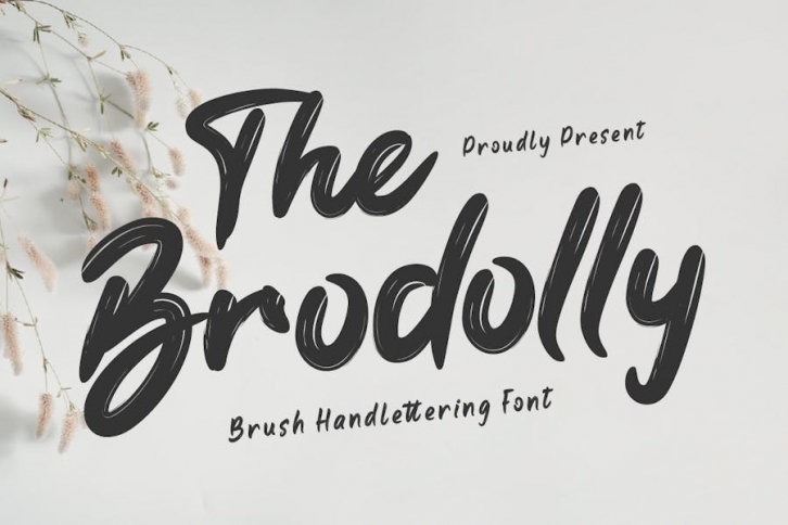 the Brodolly - Brush Handwritten Font Font Download