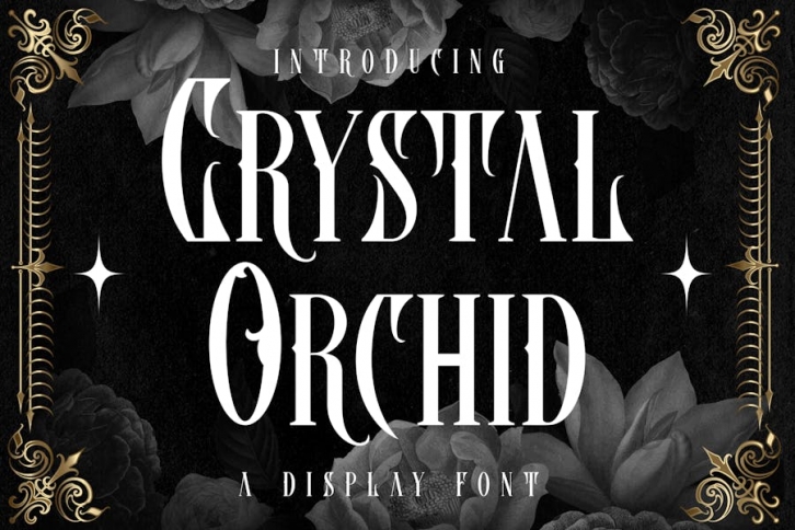 Crystal Orchid Display Blackletter Font Font Download
