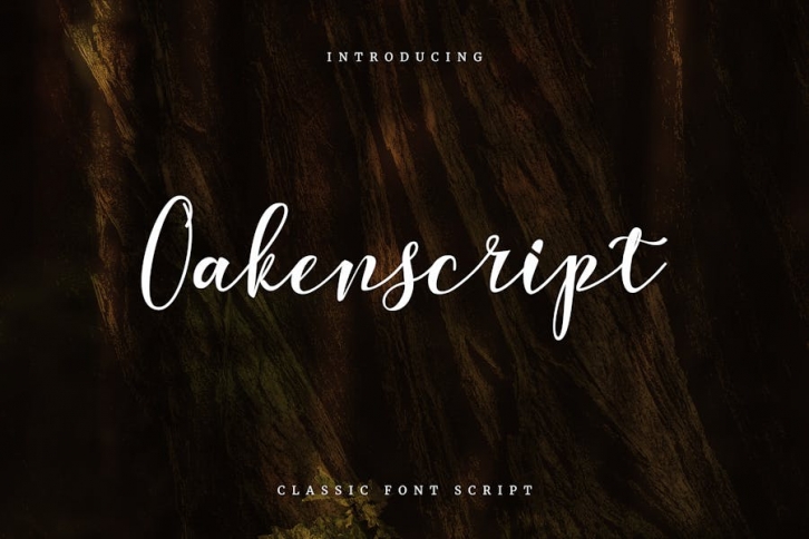 Oakenscript - A Classic Font Script Font Download