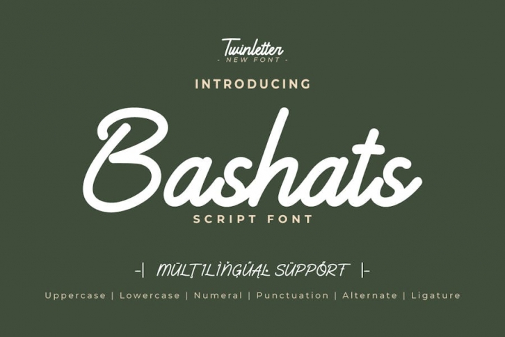 Bashats - Script Monoline Font Font Download