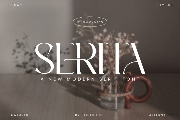 Serita Serif Font Font Download
