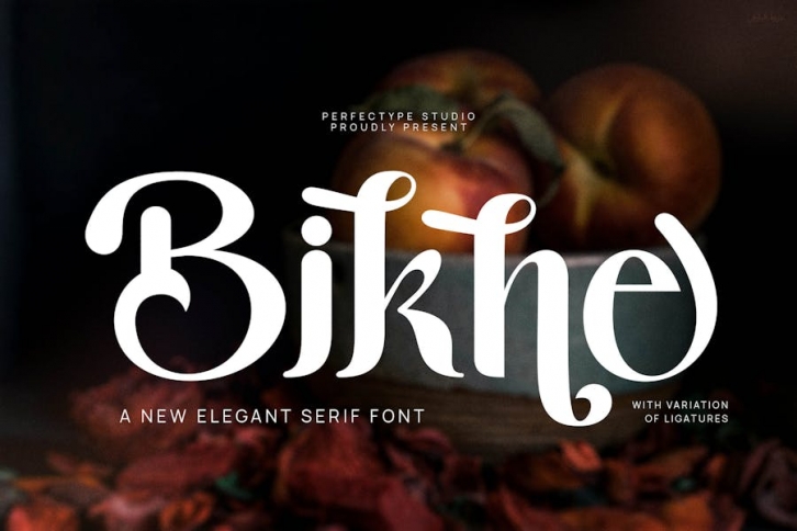 Bikne Elegant Serif Font Typeface Font Download