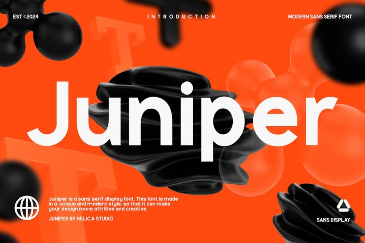Juniper Modern Sans Display Font Font Download