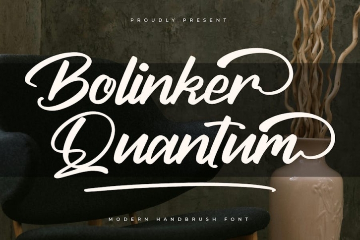 Bolinker Quantum Modern Handbrush Font Font Download