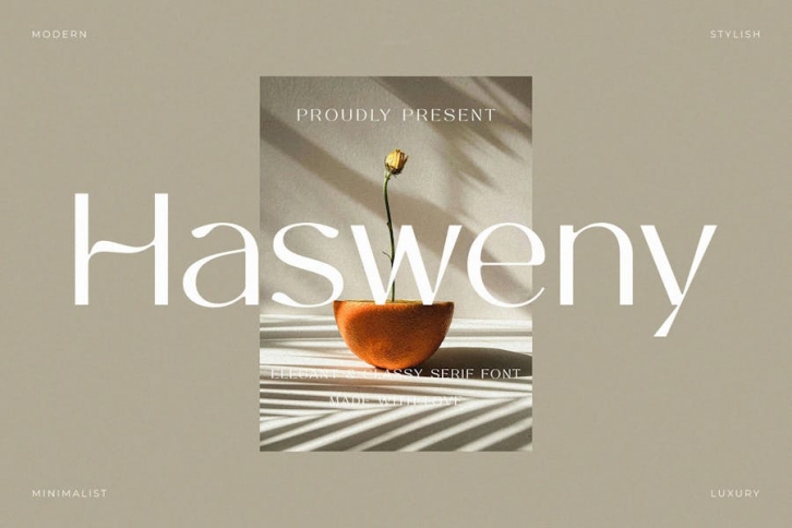 Hasweny - Elegant & Classy Sans Serif Font Download