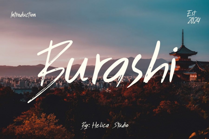 Burashi Paint Brush Font Font Download