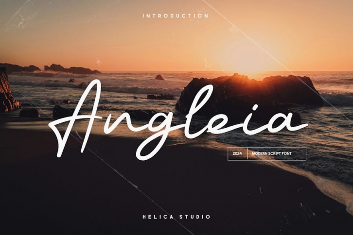 Angleia Script Font Font Download