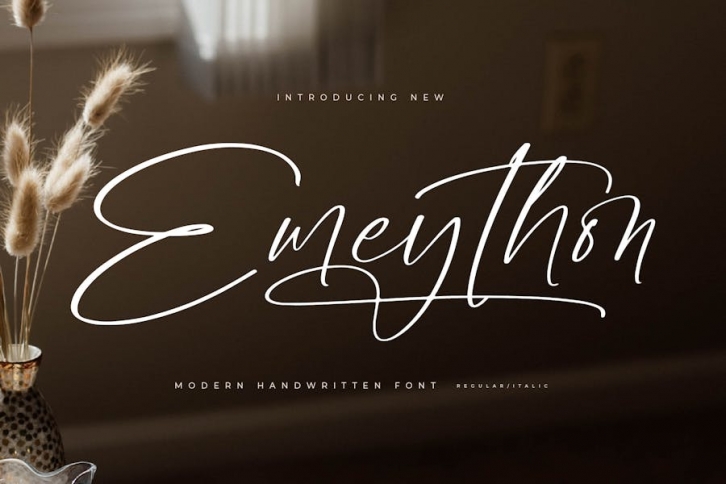Emeython Modern Handwritten Font Font Download