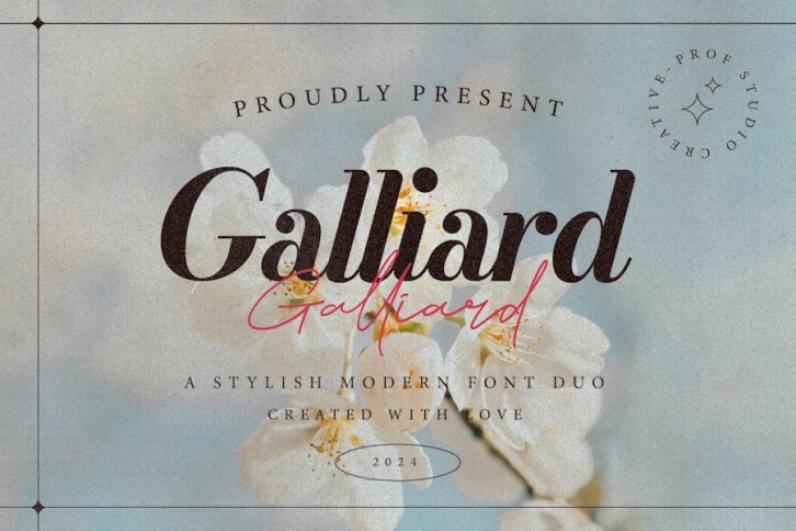 Galliard - Elegant Script Font Duo Font Download