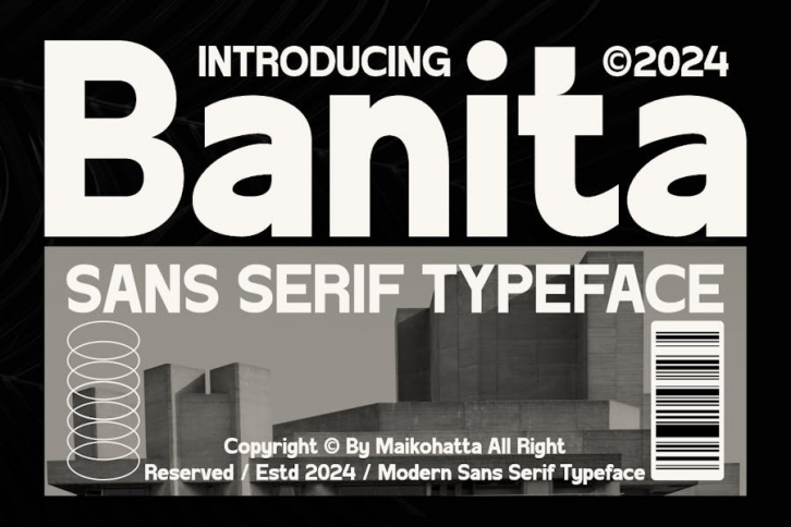 Banita - Sans Serif Typeface Font Download
