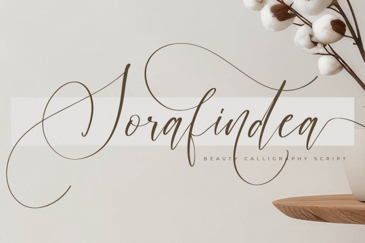 Sorafindea Calligraphy Script Font Download