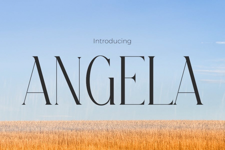 Angela Modern Elegance Font Font Download