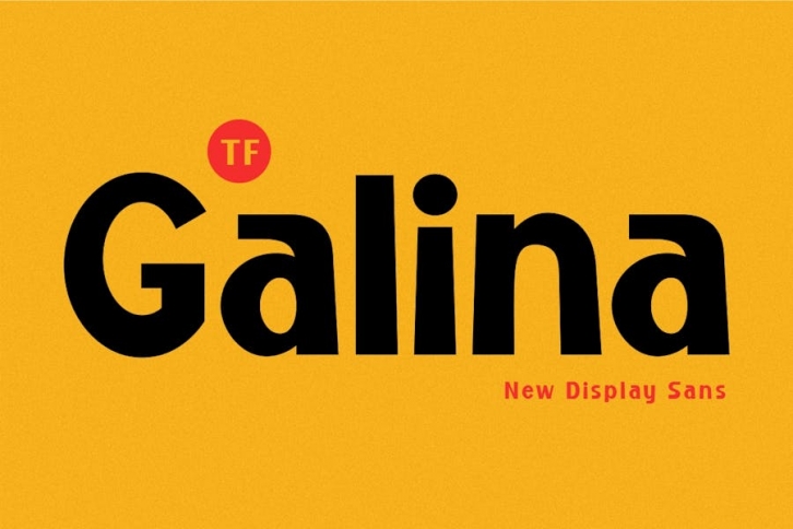 TF Galina - New Display Sans Font Font Download