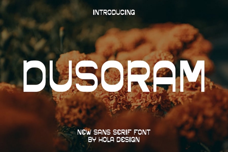 Dusoram - Sans Serif Font Font Download