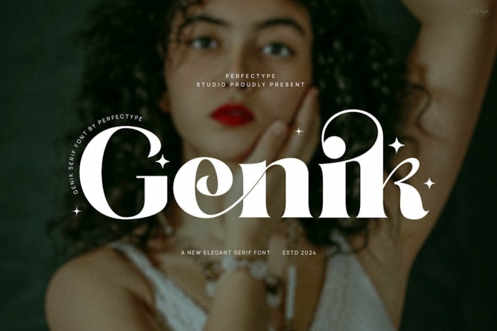 Genik Elegant Serif Font Typeface Font Download