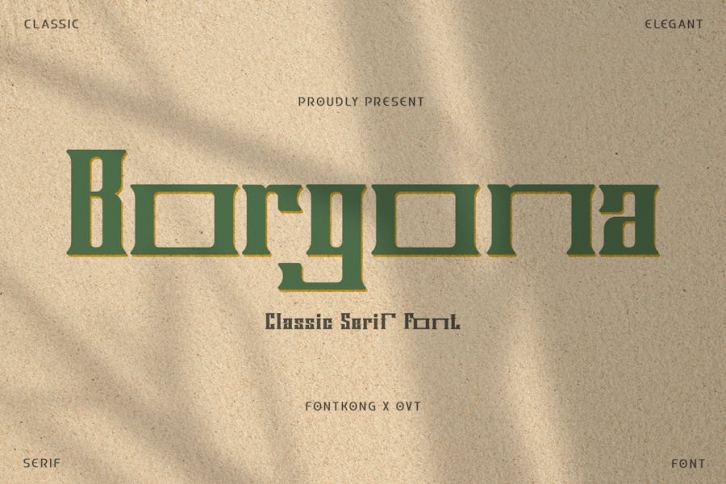 Borgona - Classic Serif Font Font Download