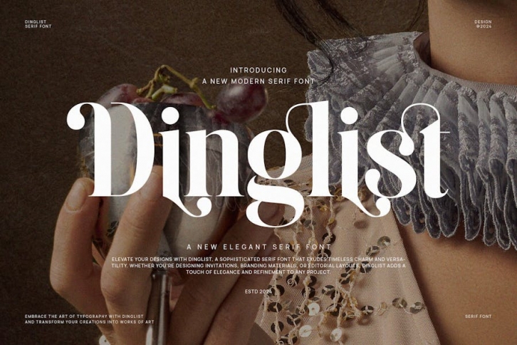 Dinglist - Elegant Serif Font Font Download