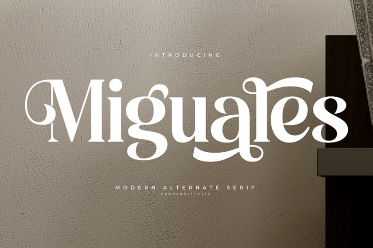 Miguales Modern Alternate Serif Font Download