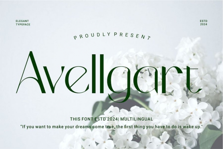 Avellgart - Elegant Typeface Font Font Download