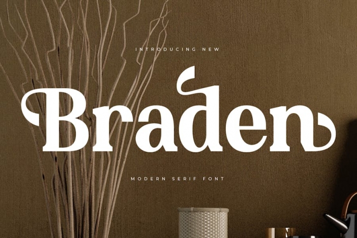 Braden Modern Serif Font Font Download