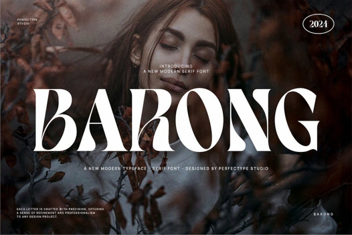 Barong Serif Font Typeface Font Download