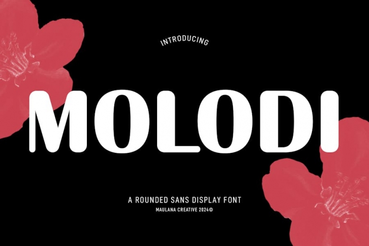 Molodi Rounded Display Font Font Download