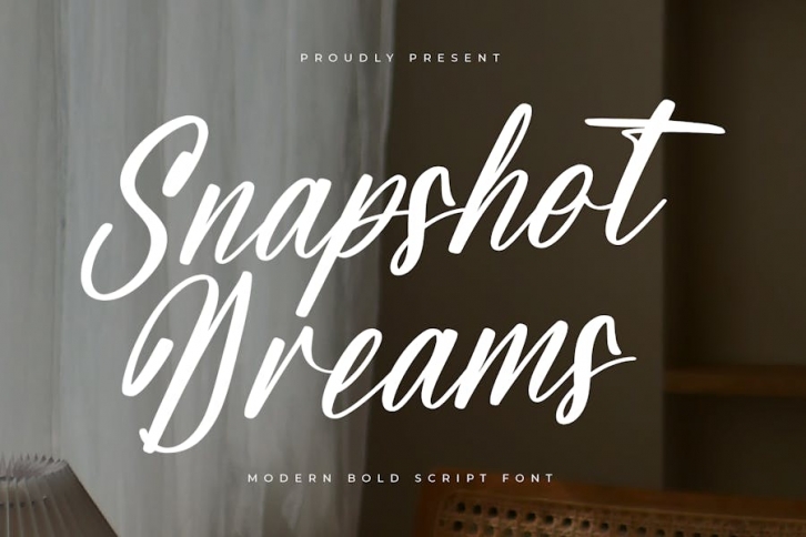 Snapshot Dreams Modern Bold Script Font Font Download